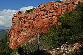 p1090391.jpg