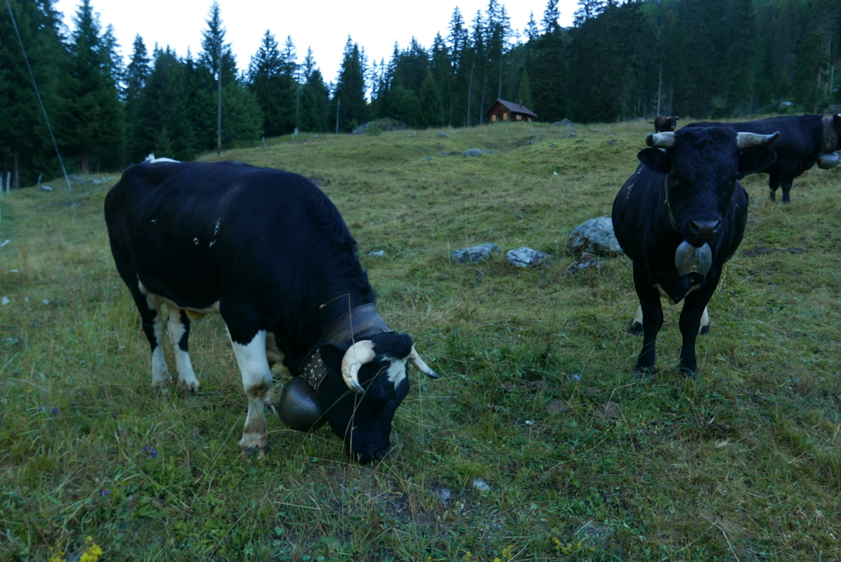 p1090894.jpg