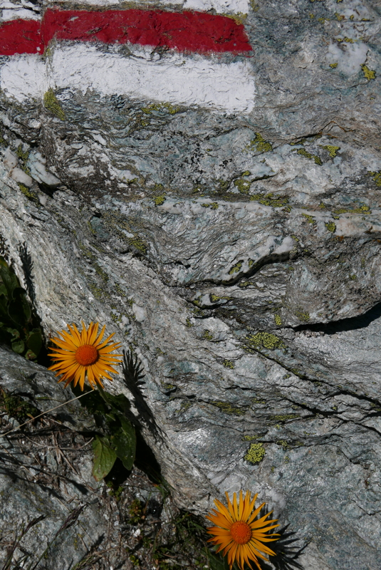 p1090909.jpg