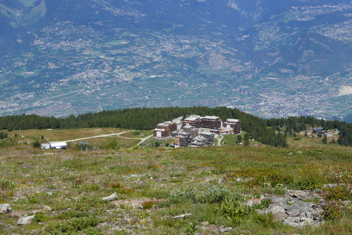 p1090915.jpg