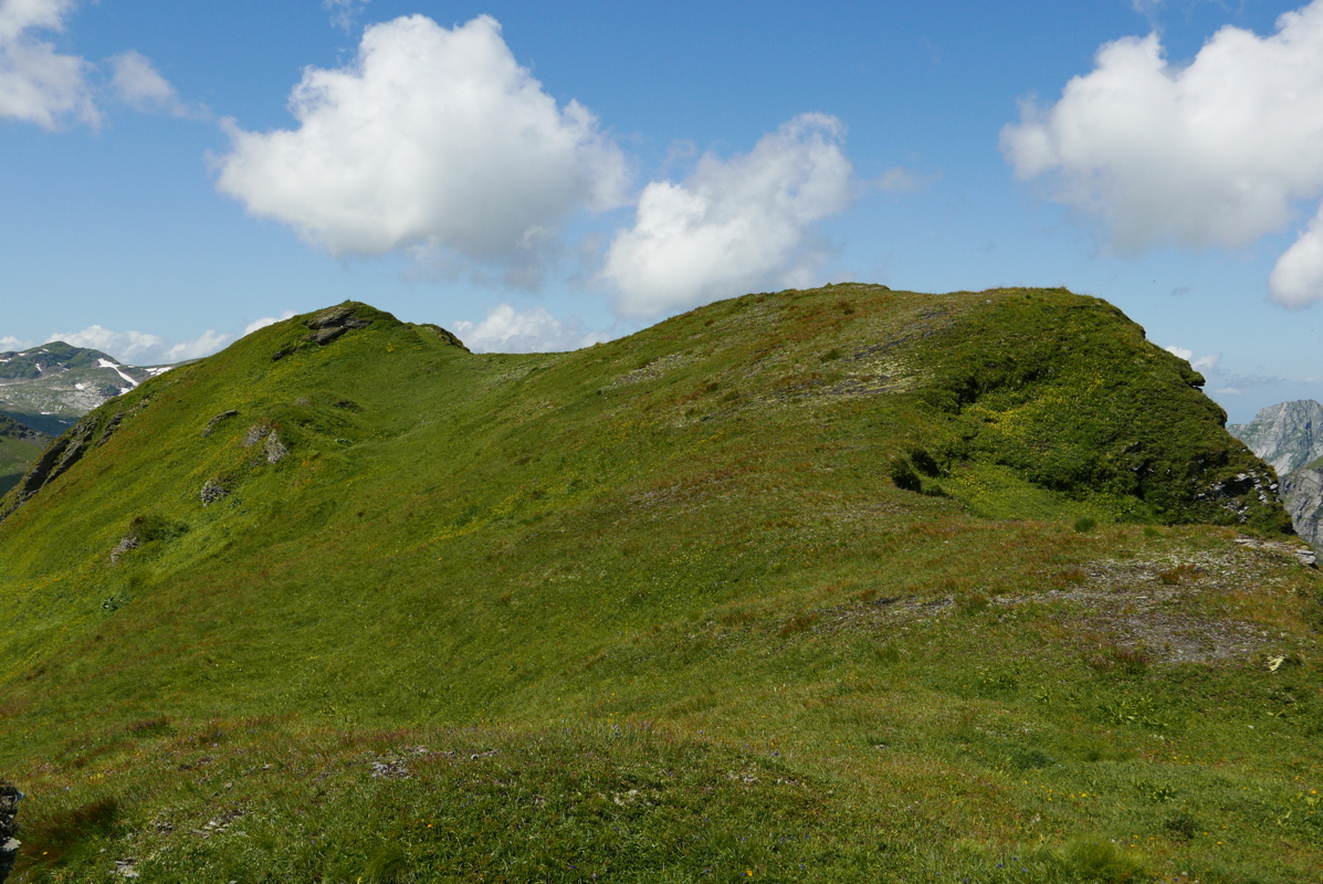 p1090754.jpg
