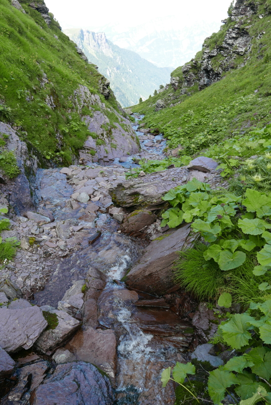 p1090759.jpg
