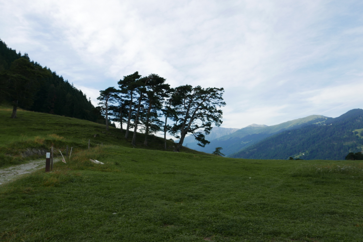 p1100146.jpg