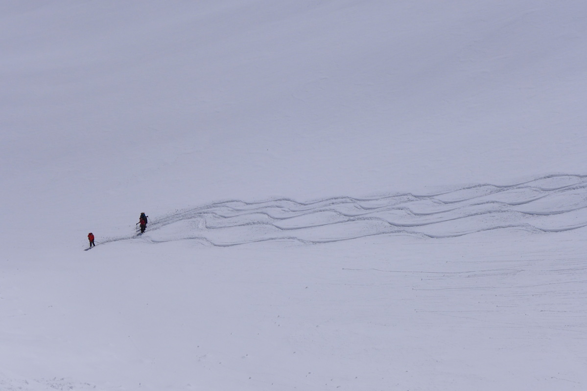p1060713.jpg