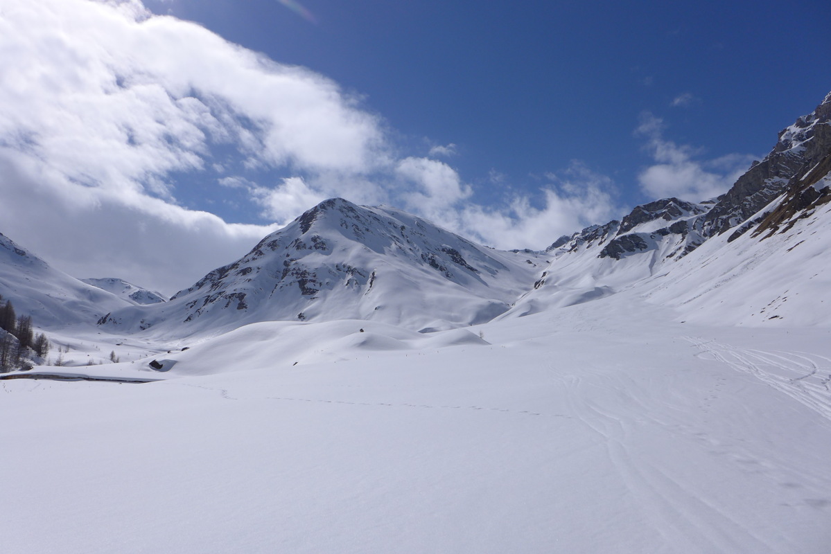 p1060797.jpg