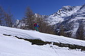 p1060596.jpg