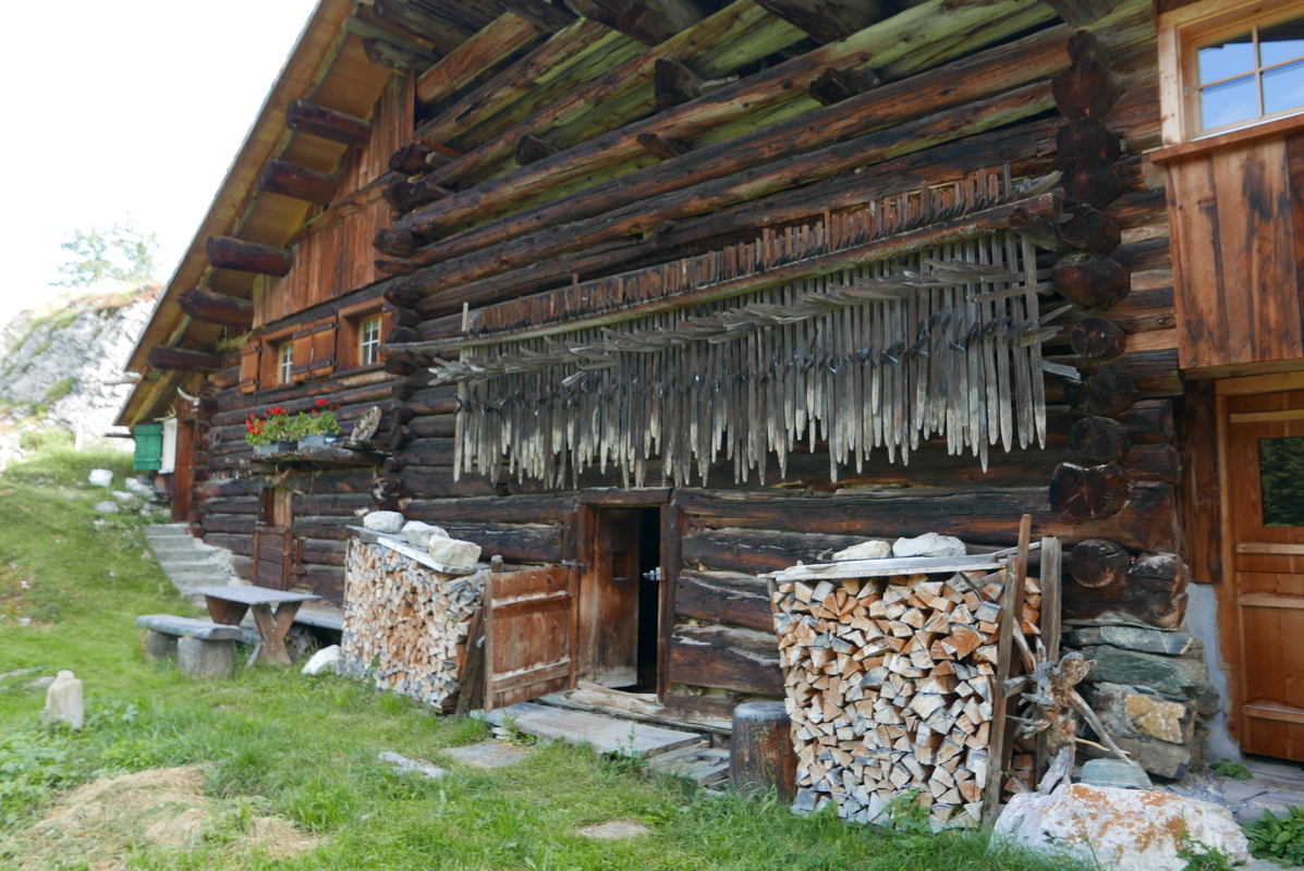 p1090540.jpg