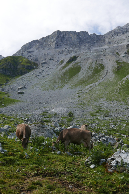 p1090543.jpg
