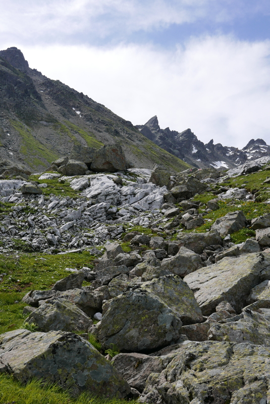 p1090552.jpg