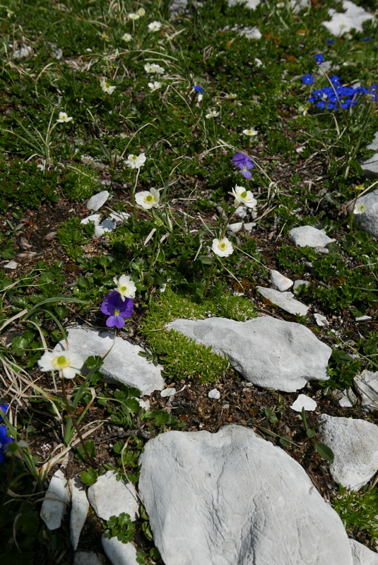 p1090558.jpg