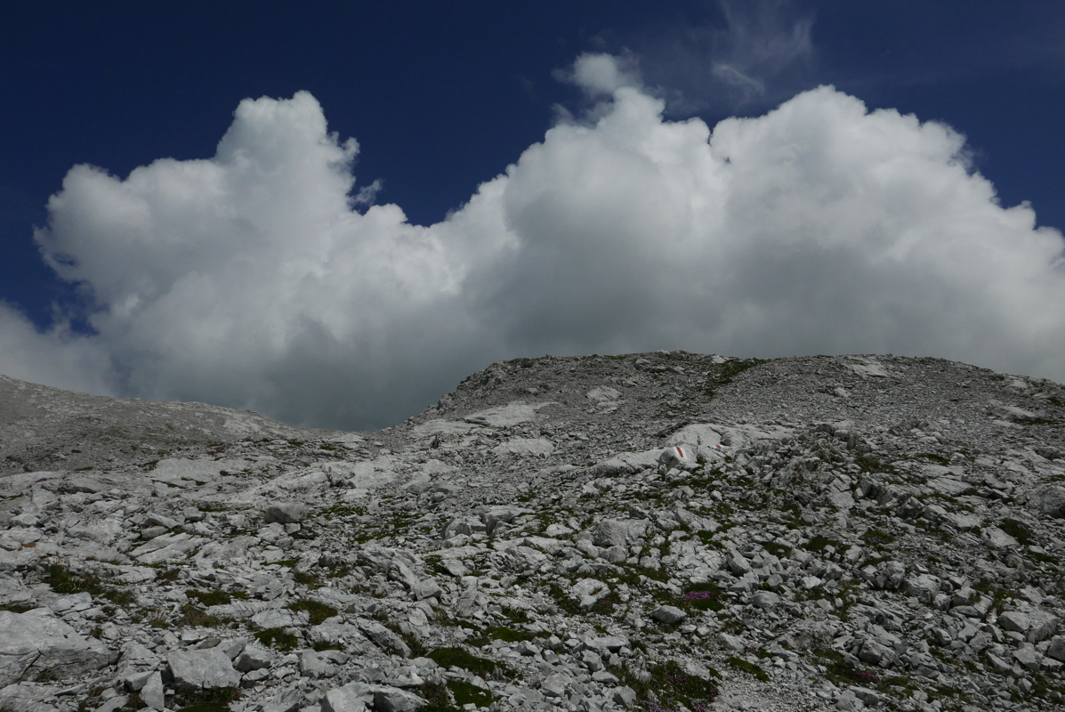 p1090567.jpg