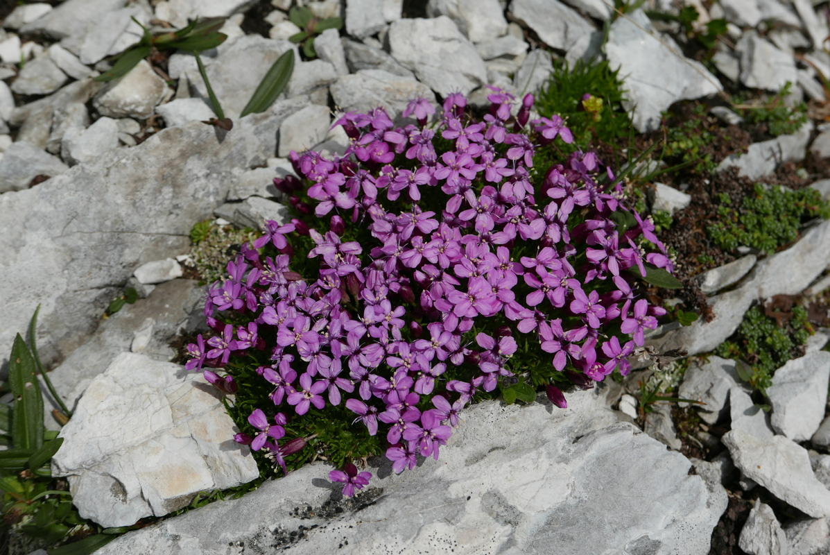 p1090568.jpg