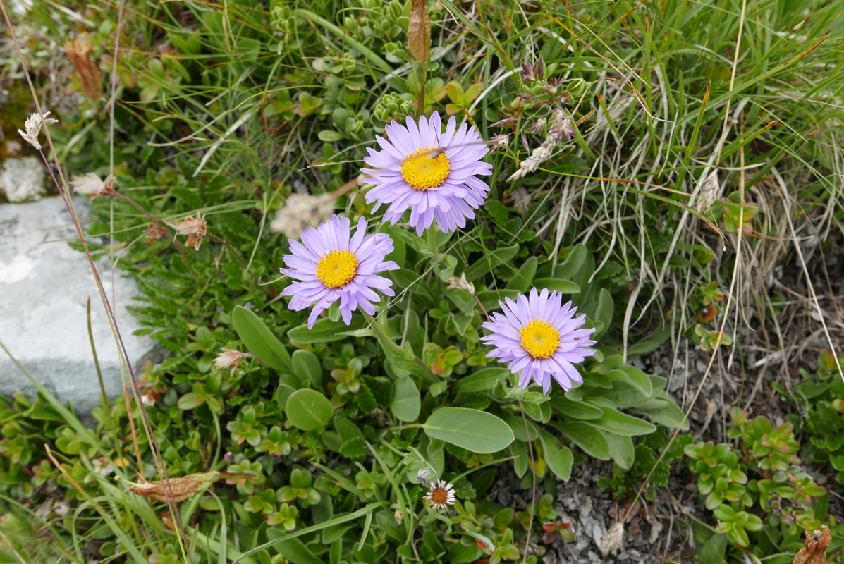p1090573.jpg