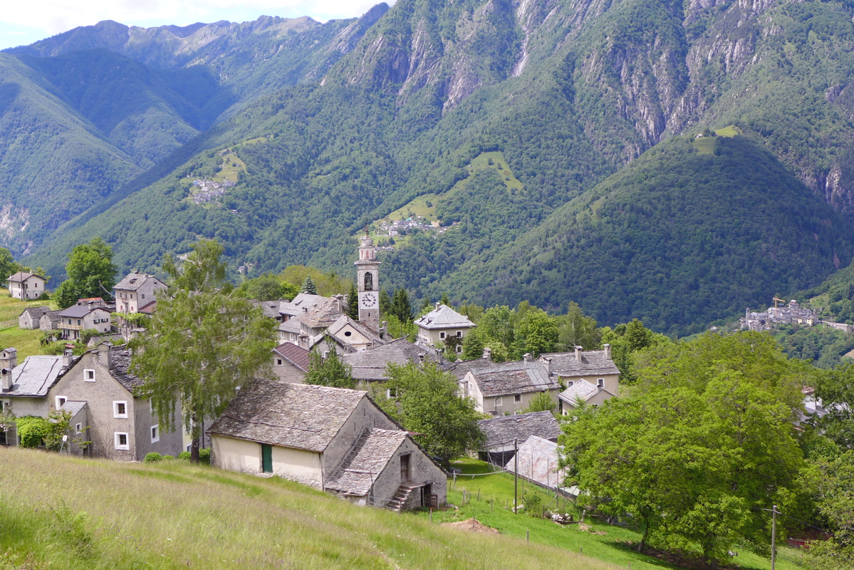 p1070119.jpg