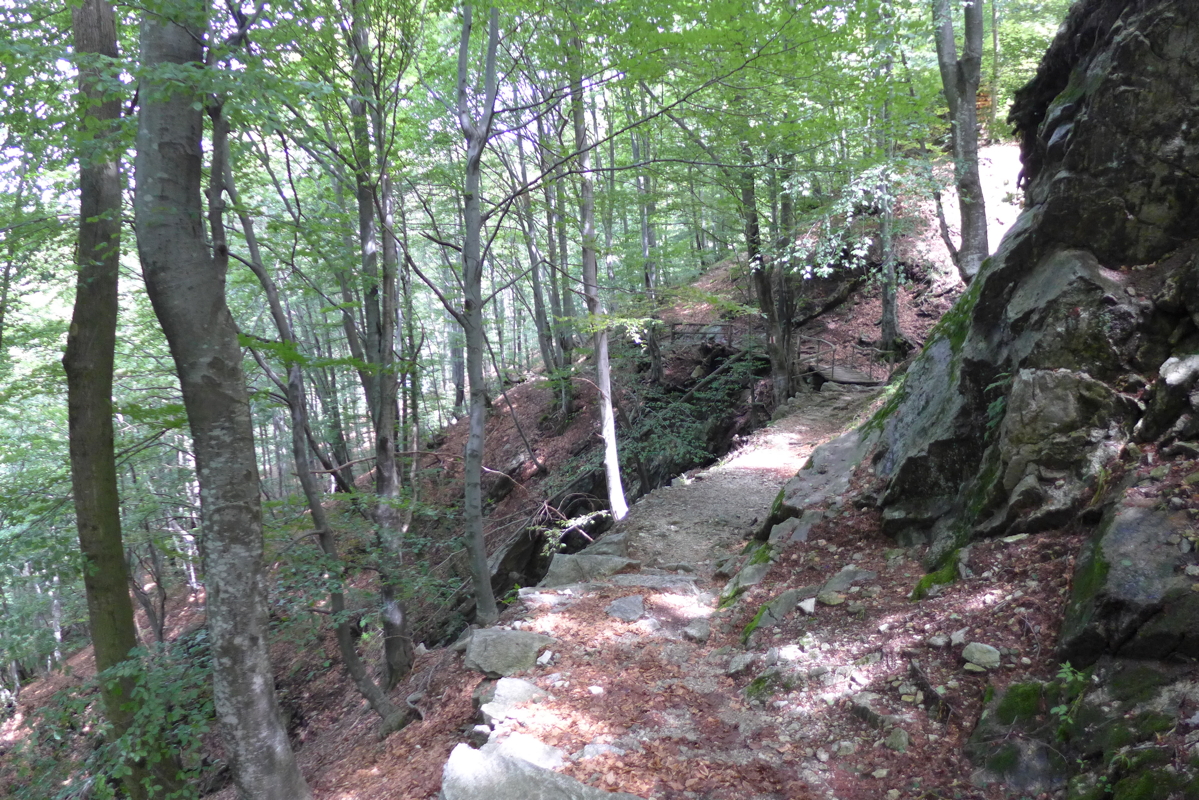 p1070120.jpg