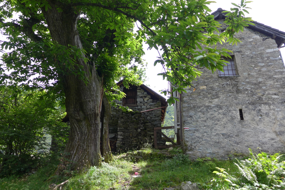 p1070122.jpg