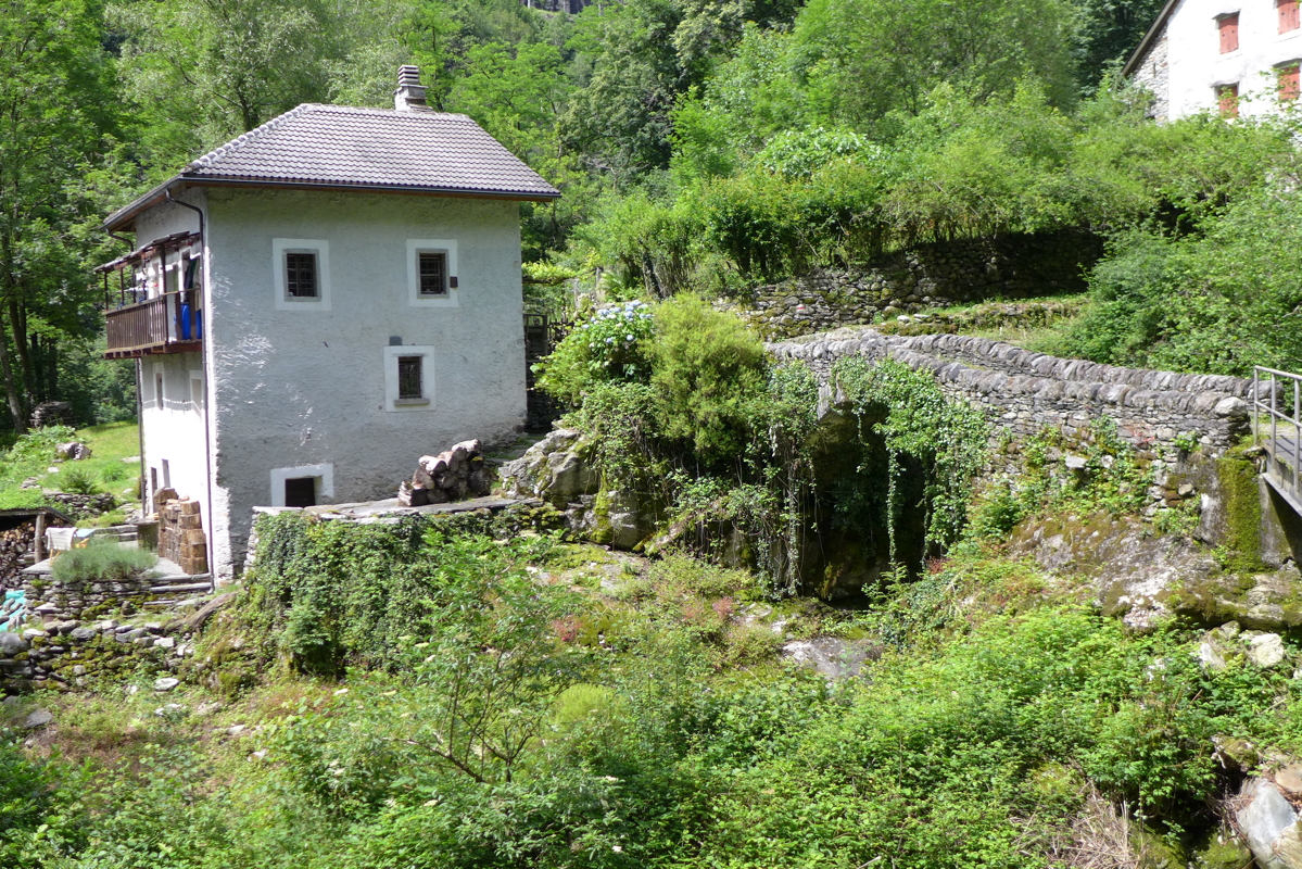 p1070128.jpg