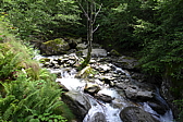 p1070125.jpg