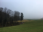 img_0312.jpg