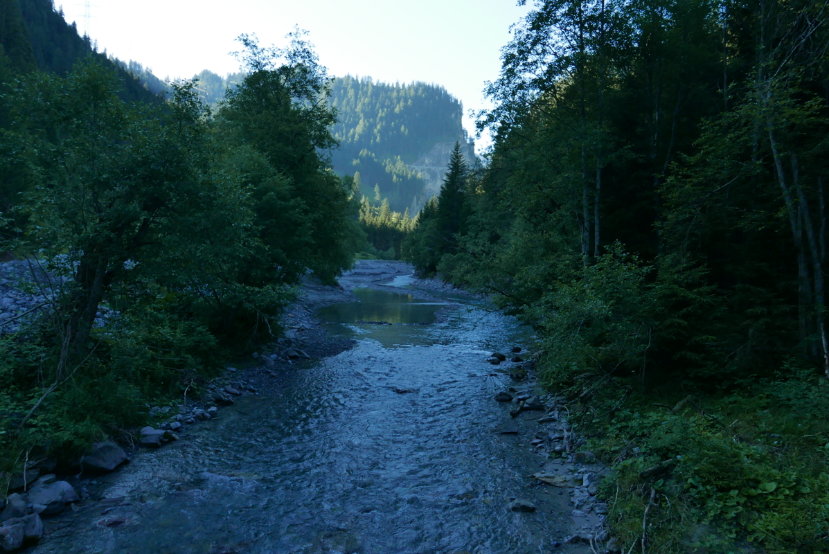 p1090517.jpg