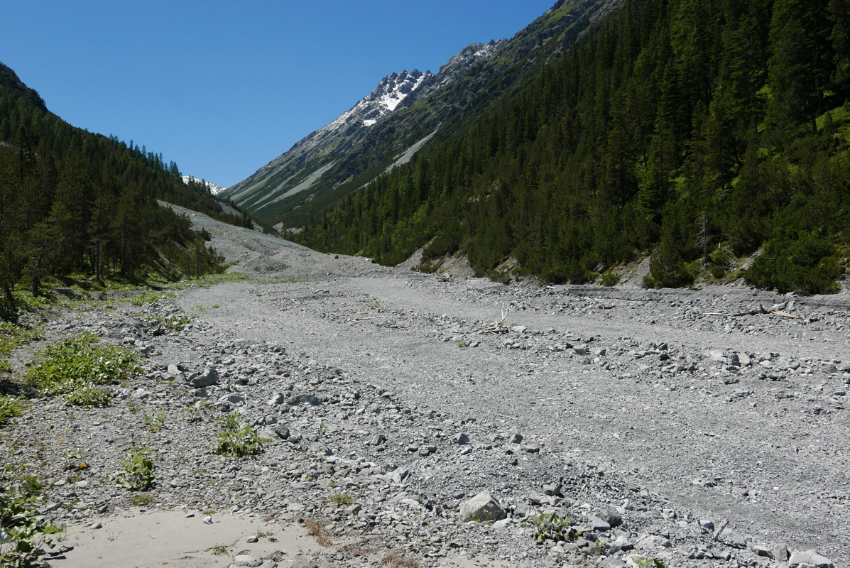 p1090537.jpg