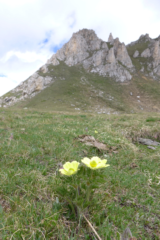 p1070141.jpg