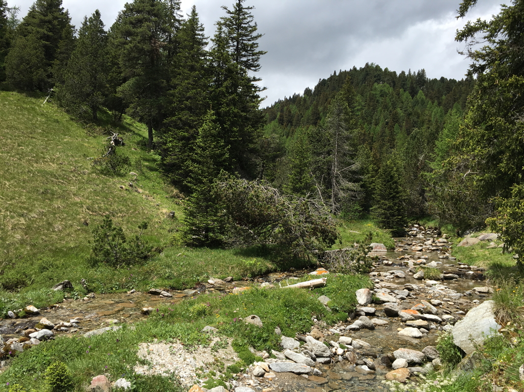 p1070145f.jpg