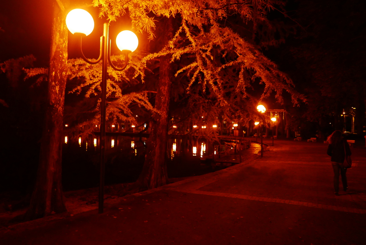 p1100300.jpg