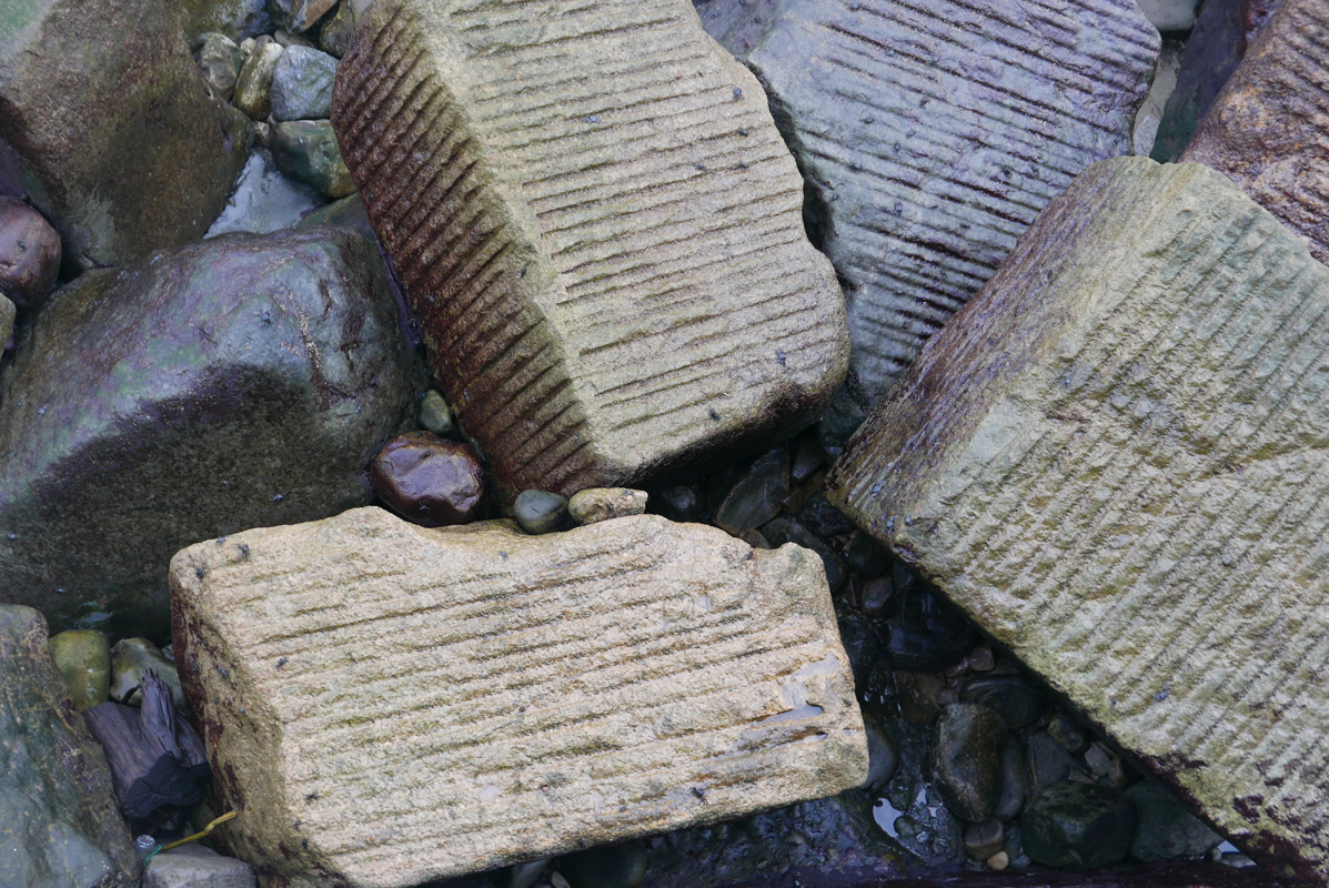 p1100352.jpg