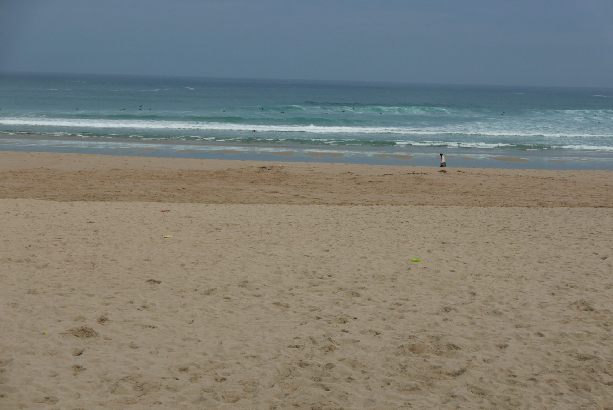 p1100354.jpg