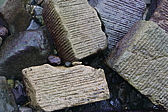 p1100352.jpg