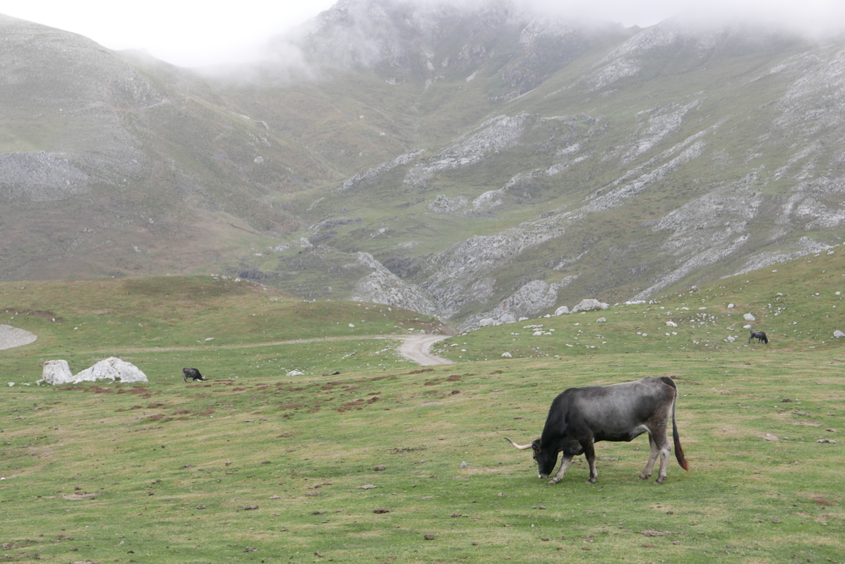 p1100419.jpg