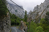 p1100371.jpg