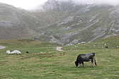 p1100419.jpg
