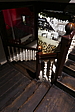 p1100430.jpg
