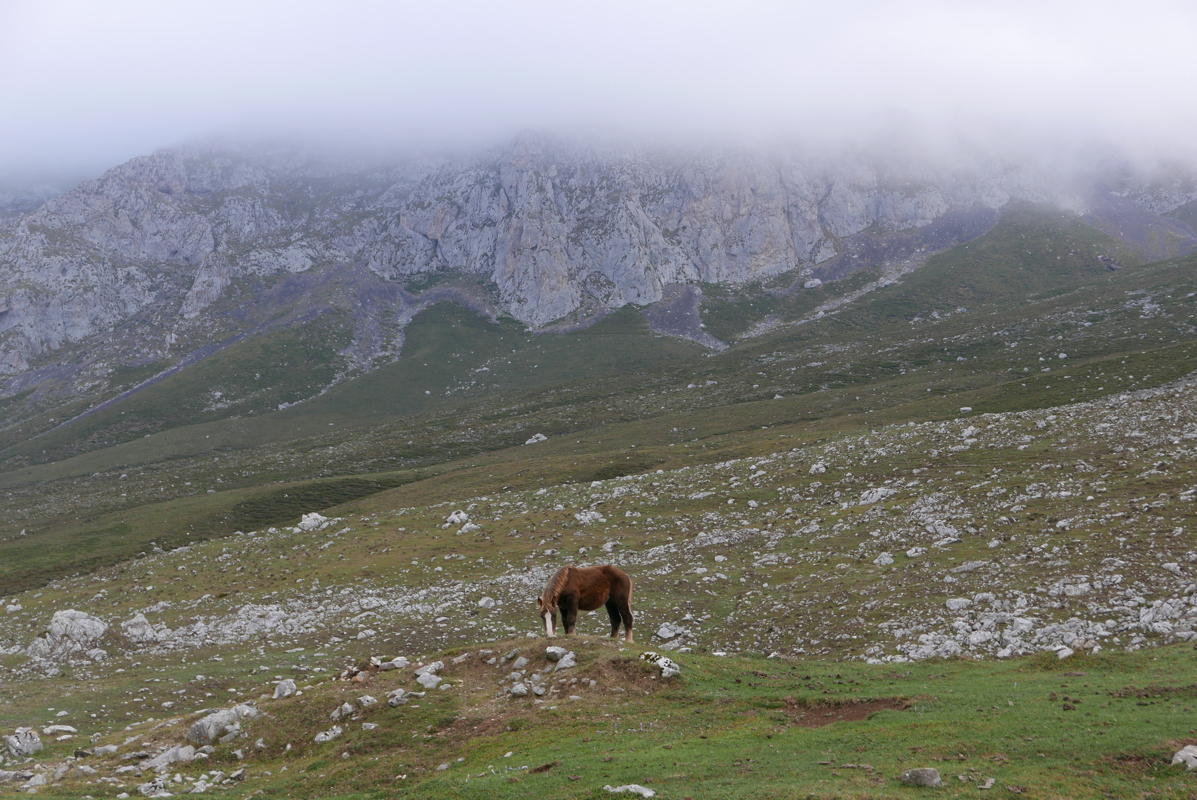 p1100448.jpg