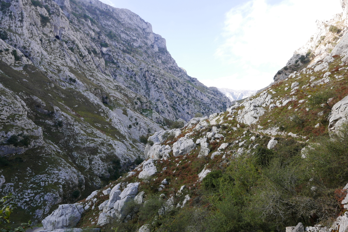 p1100455.jpg