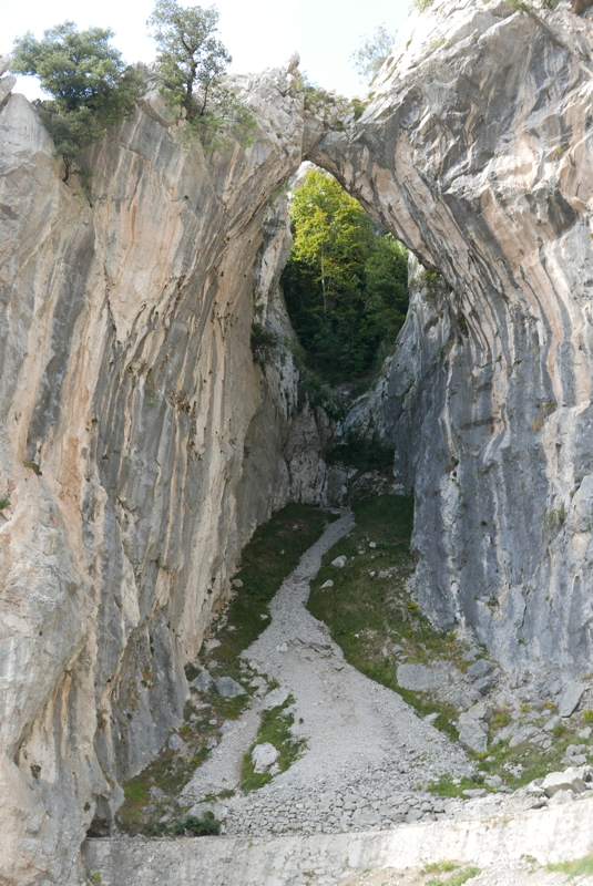 p1100467.jpg