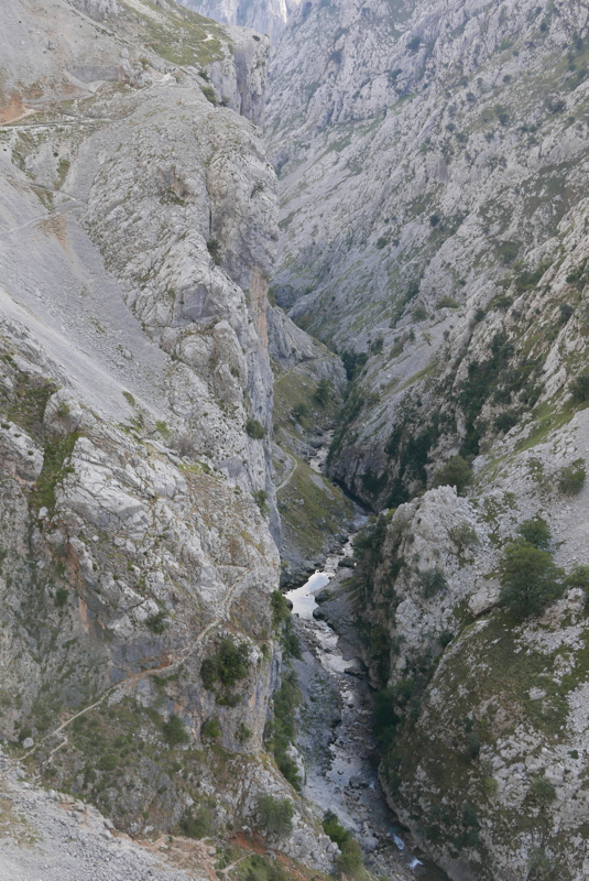 p1100468.jpg