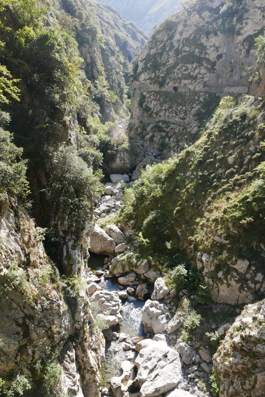 p1100474.jpg