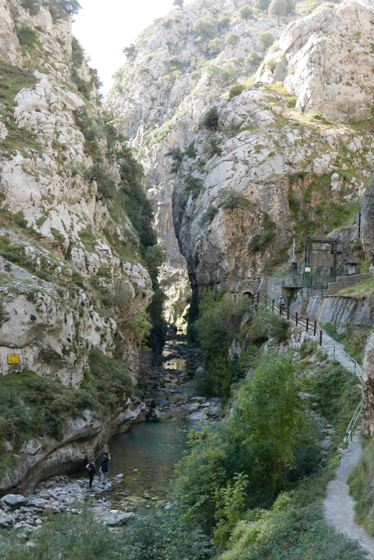 p1100476.jpg