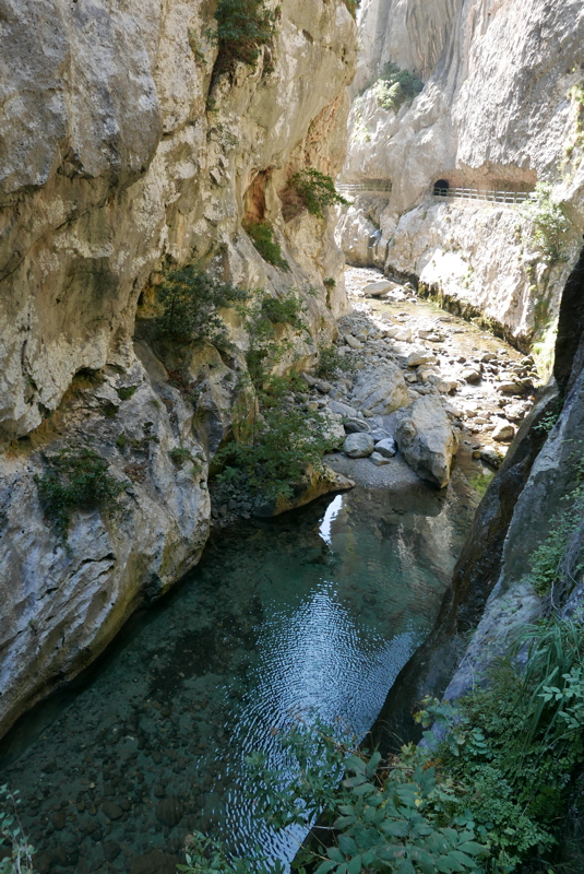 p1100478.jpg