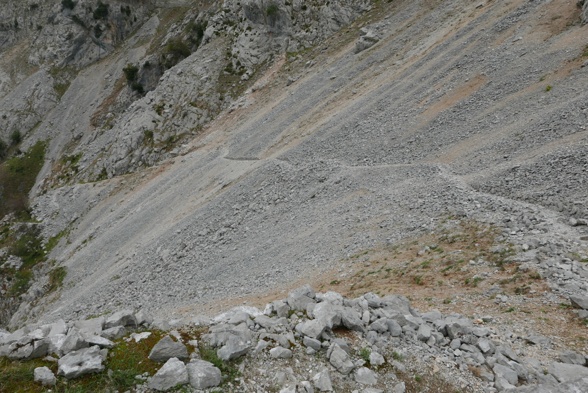 p1100504.jpg