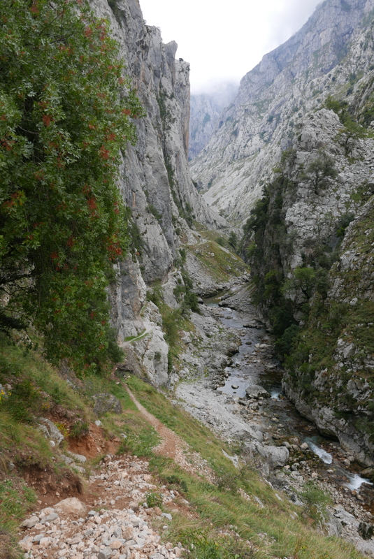 p1100511.jpg