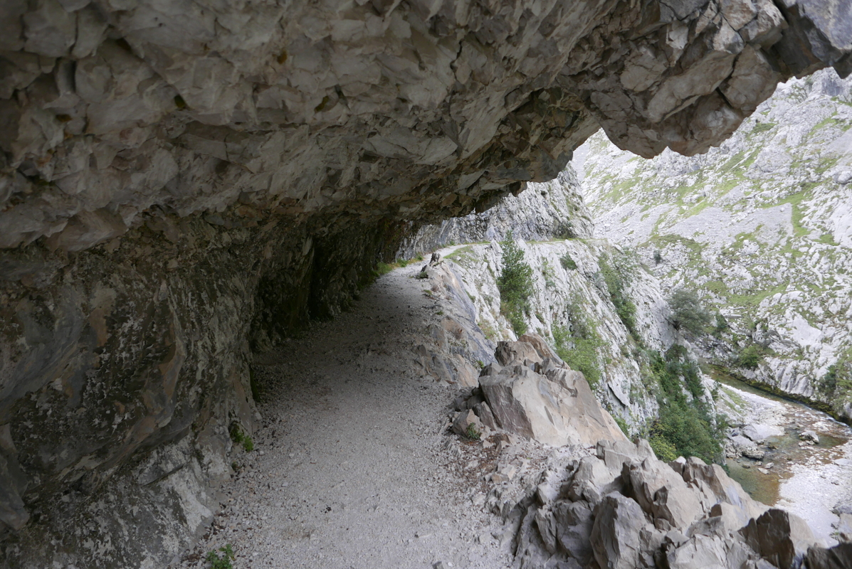 p1100514.jpg