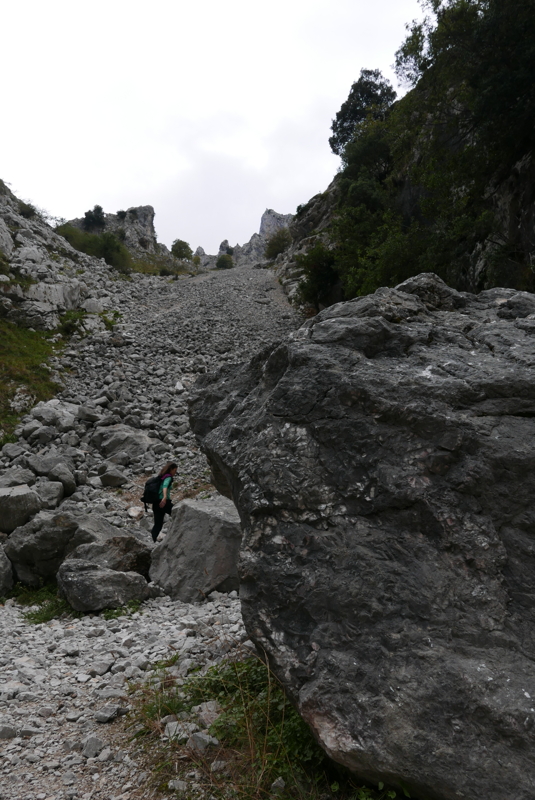 p1100516.jpg