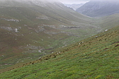 p1100440.jpg