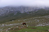 p1100448.jpg