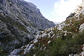 p1100455.jpg