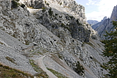 p1100459.jpg